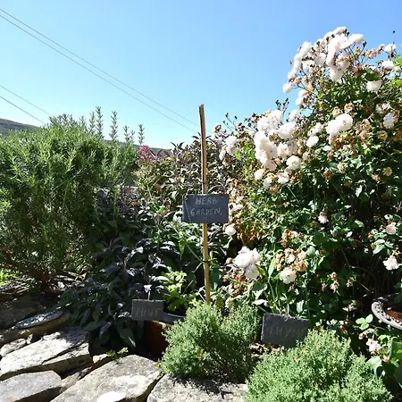 1 Bed In Richmond 44401 *